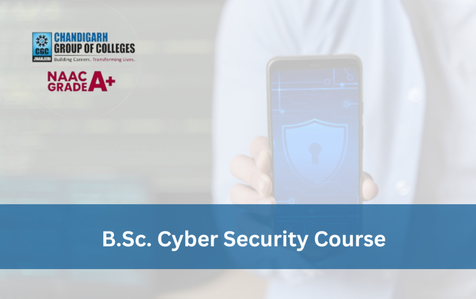 B.Sc. Cyber Security Course